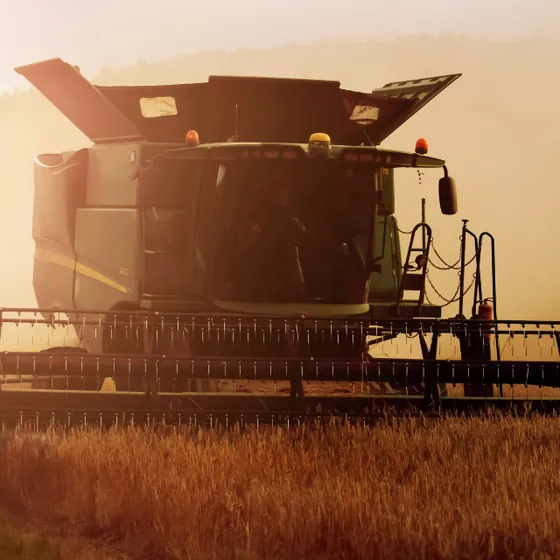 Combine harvester in a grain field at dusk